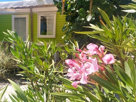 Camping Le Bois Verdon - Camping Vendée - Image N°36
