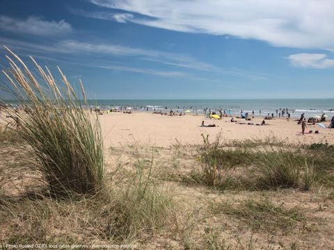 Camping Le Bois Verdon - Camping Vendée - Image N°56