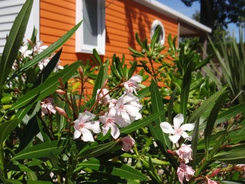 Camping Le Bois Verdon - Camping Vendée - Image N°37