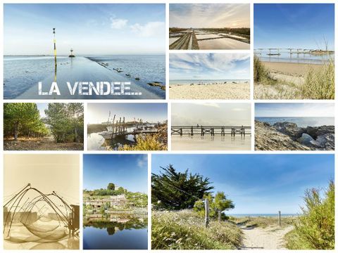 Camping Plein Sud - Camping Vendée - Image N°85