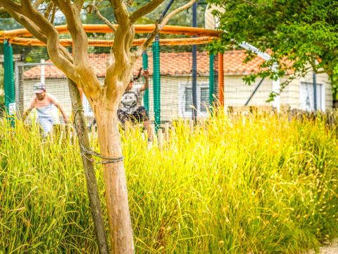 Camping Plein Sud - Camping Vendée - Image N°9