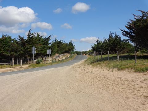 Camping Plein Sud - Camping Vendée - Image N°40