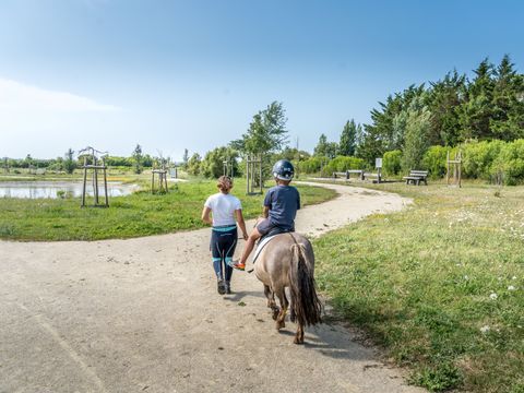 Camping Plein Sud - Camping Vendée - Image N°12