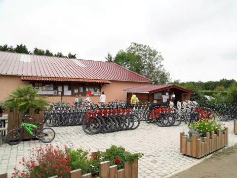 Camping Village La Guyonniere - Camping Vendée - Image N°16