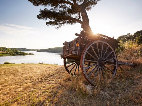 Camping Village La Guyonniere - Camping Vendée - Image N°44