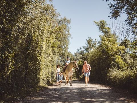 Village de La Guyonniere - Camping Vendée - Image N°20