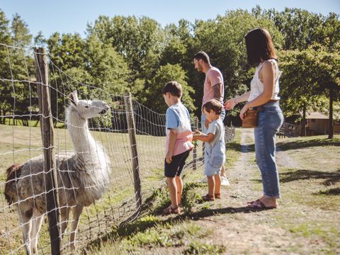 Camping Village La Guyonniere - Camping Vendée - Image N°31