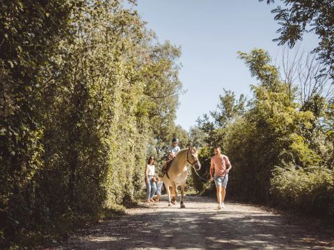 Camping Village La Guyonniere - Camping Vendée - Image N°23