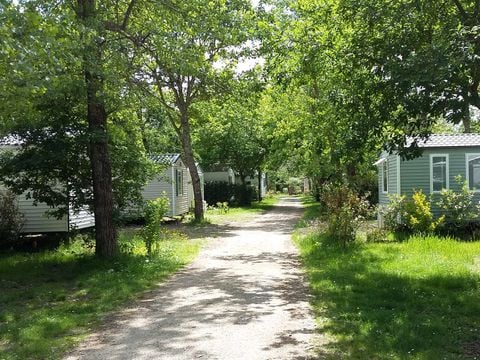 Camping Domaine du Vieux Moulin - Camping Landes - Image N°12