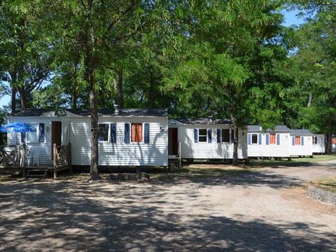 Camping Mas Sud Ardèche - Camping Ardeche - Image N°11