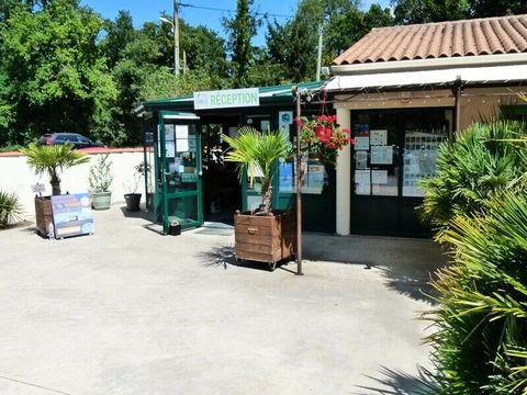 Camping Domaine Les Charmilles  - Camping Charente-Maritime - Image N°43