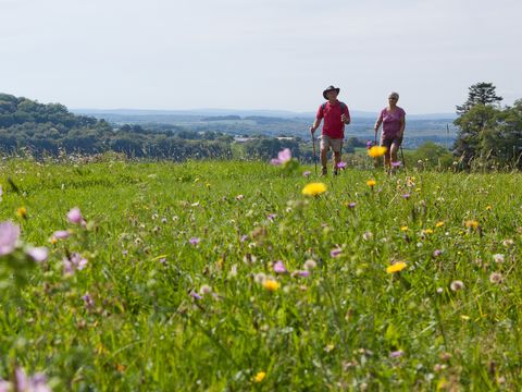 Camping la Fougeraie Camping la Fougeraie - Camping Nièvre - Image N°39