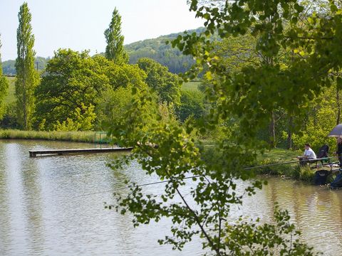 Camping la Fougeraie Camping la Fougeraie - Camping Nièvre - Image N°7