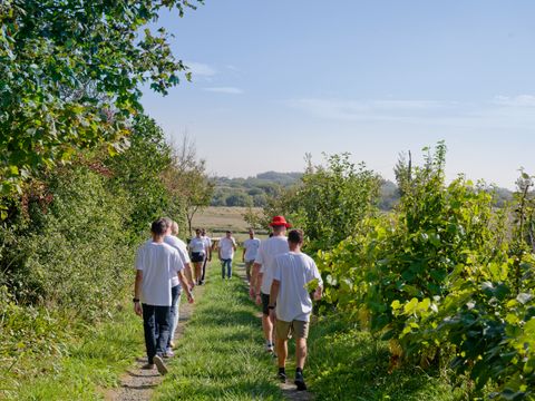 Camping Les Carolins Camping Les Carolins - Camping Manche - Image N°70