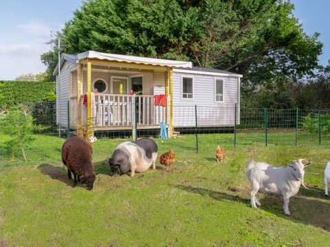MOBILHOME 4 personnes - Confort - 30 m² - 2 chambres - Vue Ferme