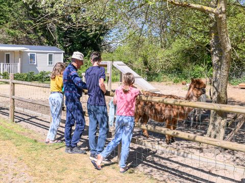 Camping Les Carolins Camping Les Carolins - Camping Manche - Image N°73