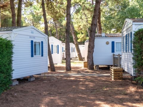 Camping Les Maraises - Camping Charente-Maritime - Image N°18