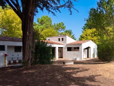Camping Les Maraises - Camping Charente-Maritime - Image N°19