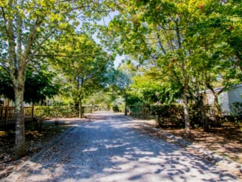 MOBILHOME 7 personnes - 3 Chambres PREMIUM