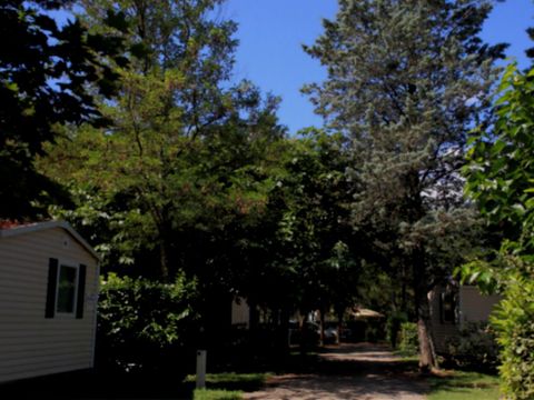 MOBILHOME 4 personnes - 2 CH. CONFORT +