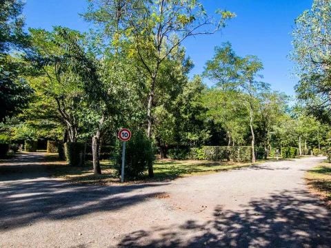 Camping Domaine du Cros d'Auzon - Camping Ardèche - Image N°36