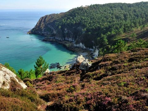Camping Domaine de Ker Ys - Camping Finistère - Image N°31