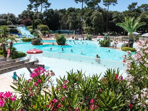 Camping Le Logis  - Camping Charente-Maritime - Image N°13