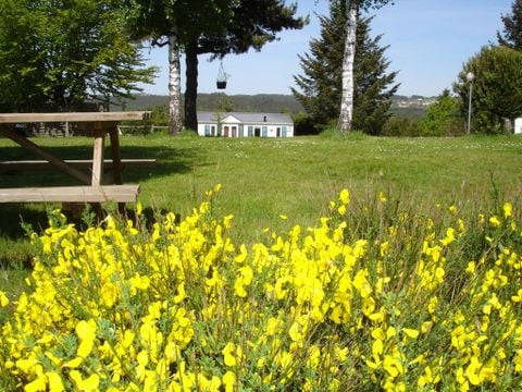 Camping du Sabot - Camping Haute-Loire