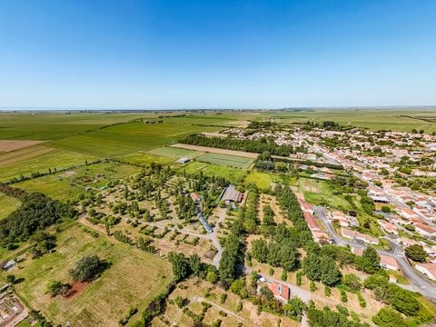 Camping La Dive - Camping Vendée - Image N°6