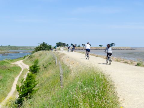 Camping La Dive - Camping Vendée - Image N°9