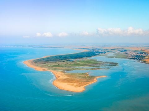 Camping La Dive - Camping Vendée - Afbeelding N°2