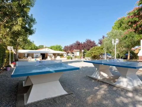 Flower Camping L'Abri-Côtier - Camping Charente-Maritime - Image N°10