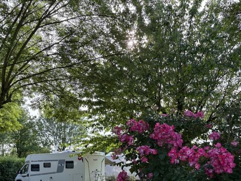 Flower Camping L'Abri-Côtier - Camping Charente-Maritime - Image N°24