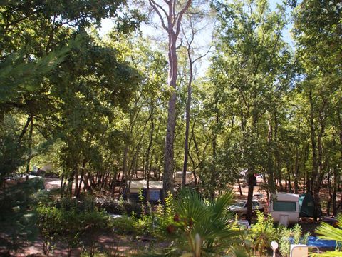 Camping Le Parc Camping Le Parc - Camping Var - Image N°77