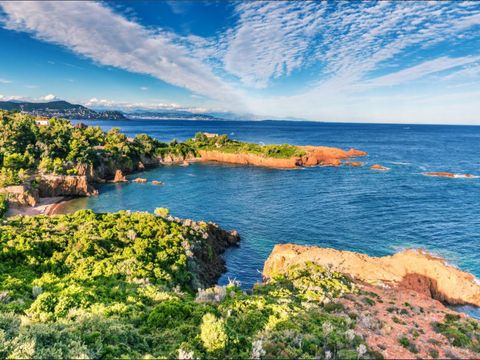 Camping Le Parc Camping Le Parc - Camping Var - Image N°31
