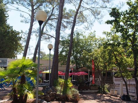 Camping Le Parc Camping Le Parc - Camping Var - Image N°36