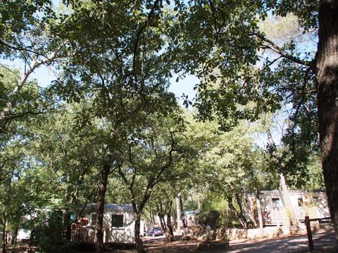Camping Le Parc Camping Le Parc - Camping Var - Image N°37