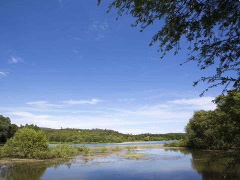 Camping Le Parc Camping Le Parc - Camping Var - Image N°34