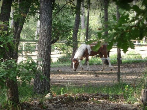 Camping Le Parc - Camping Var - Image N°36