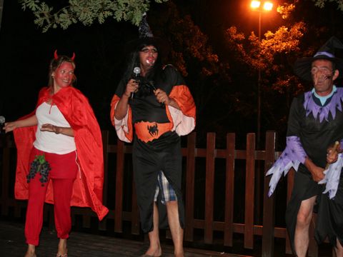 Camping Le Parc Camping Le Parc - Camping Var - Image N°64