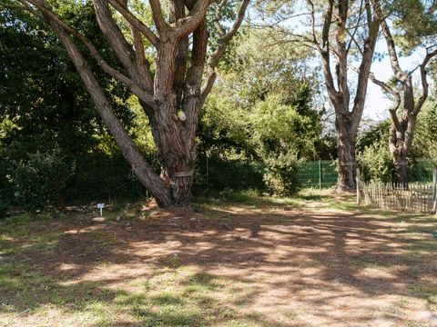 Emplacement - Forfait Confort : tente, caravane ou camping-car / 1 voiture / électricité 10A 2 pers.