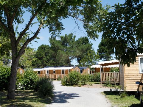 MOBILHOME 4 personnes - Confort 22m² - 2 chambres - Terrasse semi-couverte - TV - lave-vaisselle