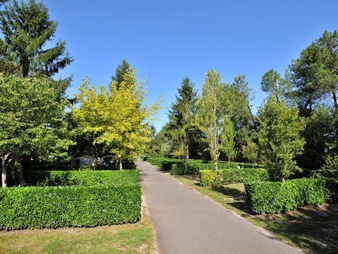 Camping des Abesses - Camping Landes