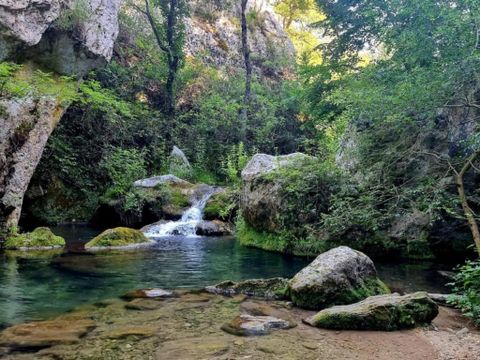 Camping Domaine des Chênes Blancs Pausado - Camping Vaucluse - Image N°48