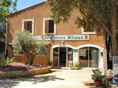 Camping Domaine des Chenes Blancs - Camping Vaucluse - Image N°8