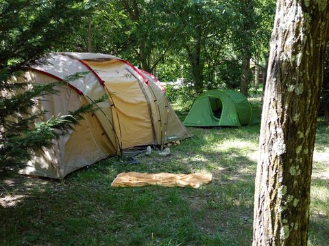 Emplacement - Forfait Confort (1 tente, 1 caravane ou camping-car / 1 voiture / électricité 8A)