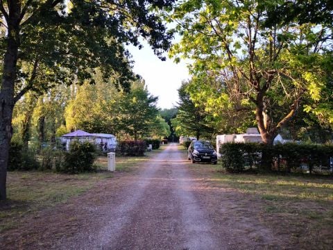 Camping Parc des Joumiers - Camping Yonne - Afbeelding N°0