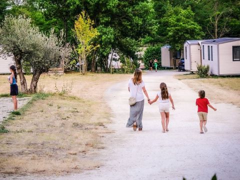 Camping Medrose - Camping Ardeche - Image N°16