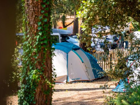 Emplacement - Forfait Confort : petite caravane ou camping-car / 1 voiture / électricité