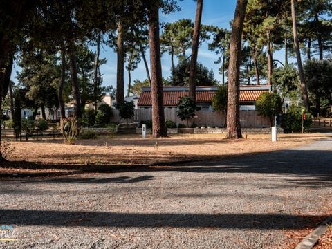 Camping Oléron Saint Tro'Park - Camping Charente-Maritime - Image N°20